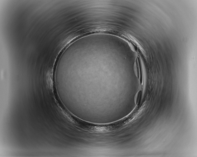X0000094200794200710261151