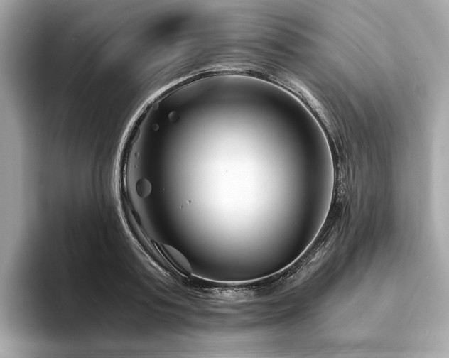 X0000094200795200710261151