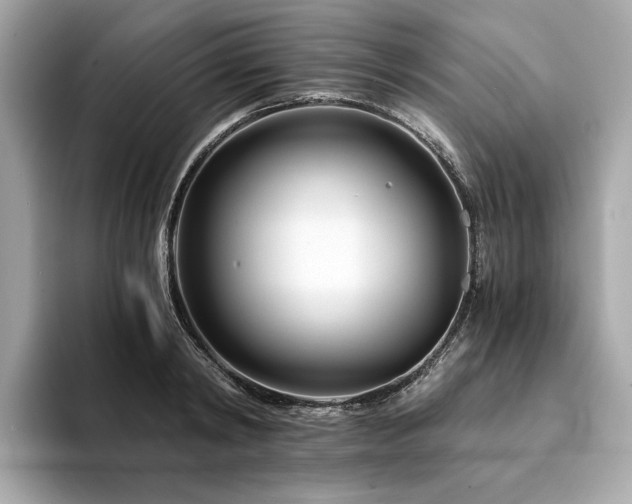 X0000094200798200710261151