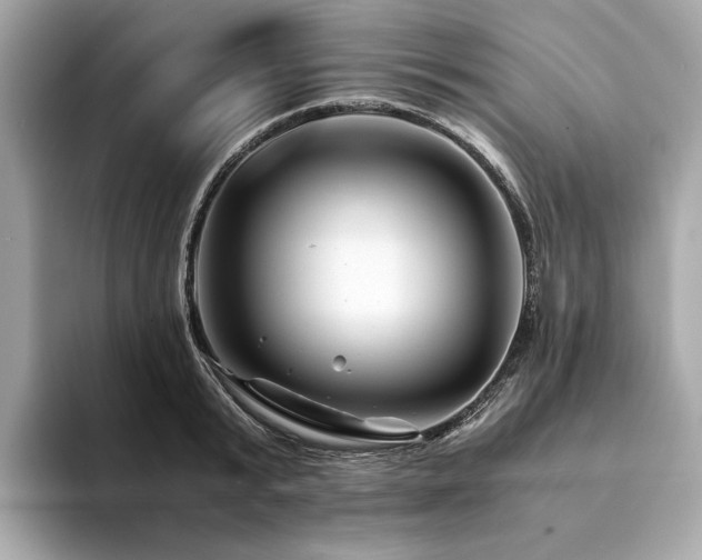 X0000094200799200710261151
