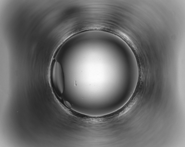 X0000094200802200710261151