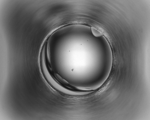 X0000094200803200710261151