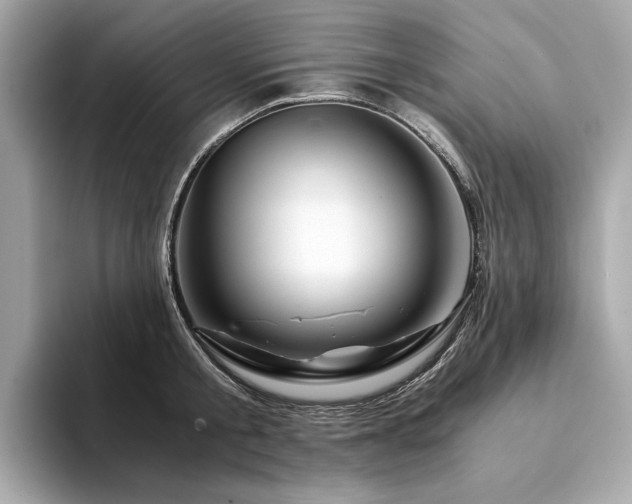 X0000094200805200710261151