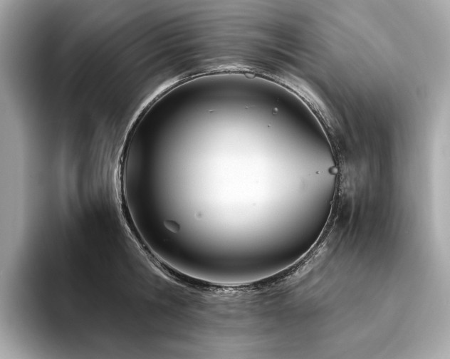 X0000094200806200710261151