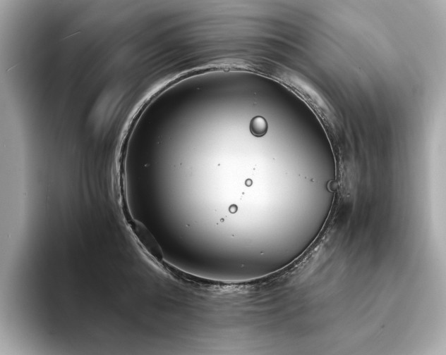X0000094200808200710261151