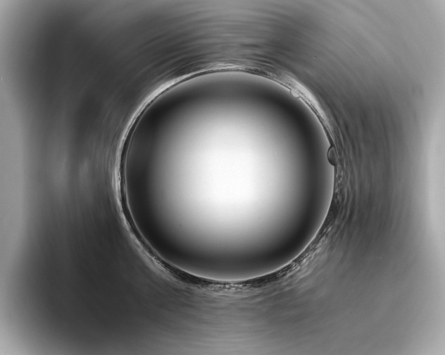 X0000094200811200710261151