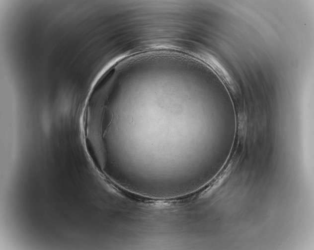 X0000094200814200710261151