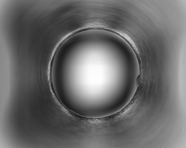 X0000094200815200710261151