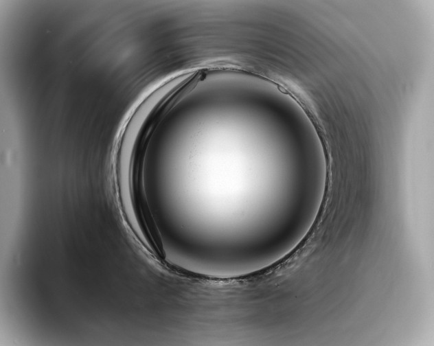 X0000094200816200710261151
