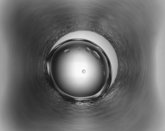 X0000094200818200710261150