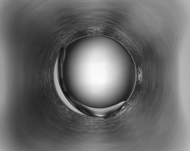 X0000094200819200710261150