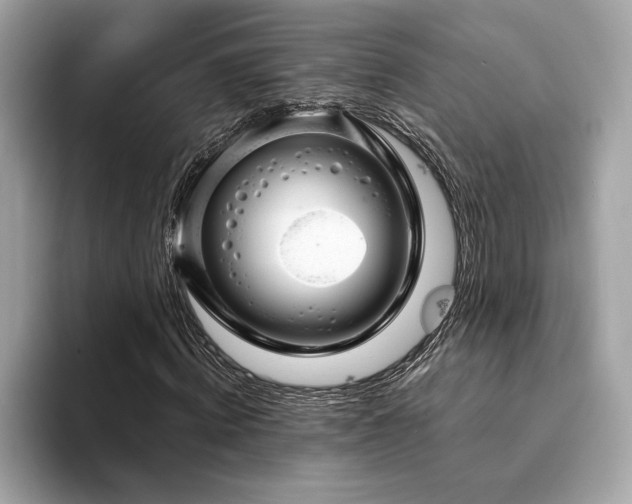 X0000094200820200710261150