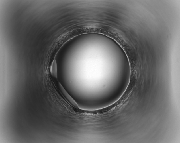 X0000094200821200710261150