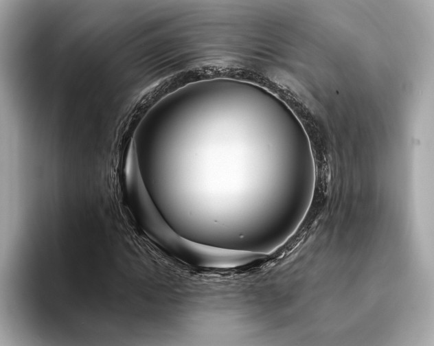 X0000094200822200710261150