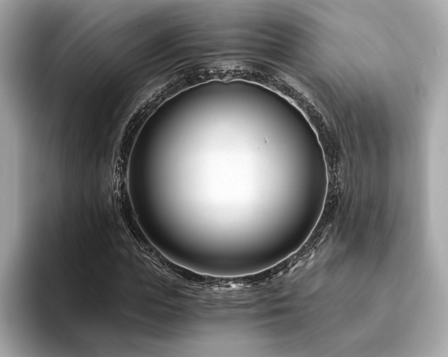 X0000094200823200710261150