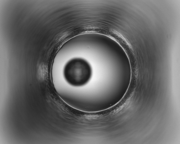 X0000094200825200710261150