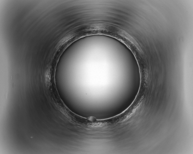 X0000094200826200710261150