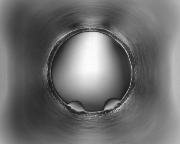 X0000094200831200710261150