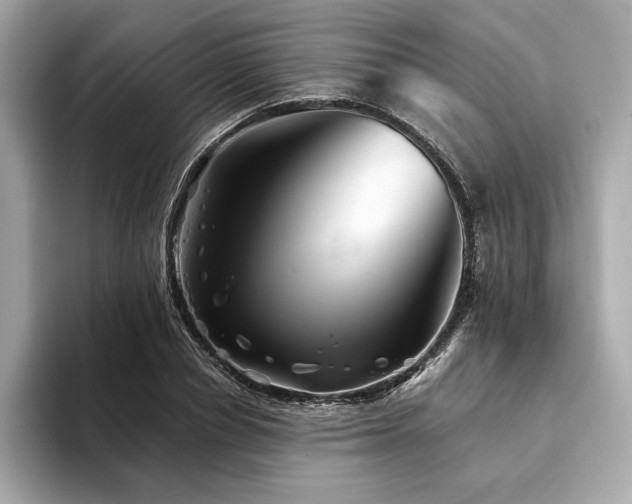 X0000094200834200710261150