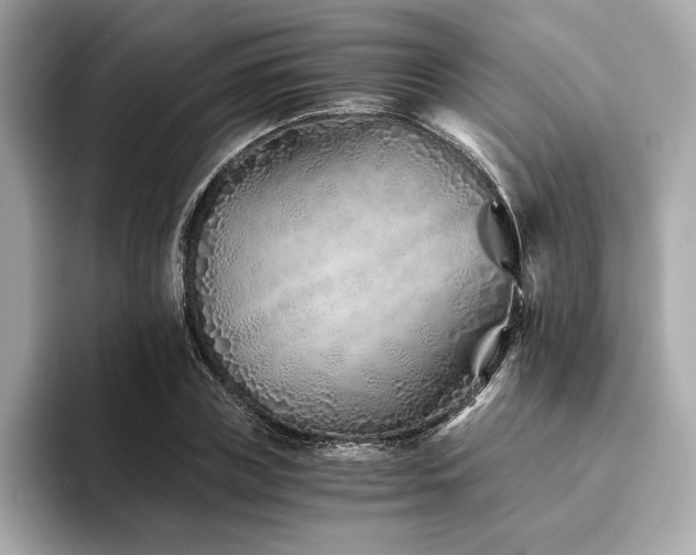 X0000094200835200710261150