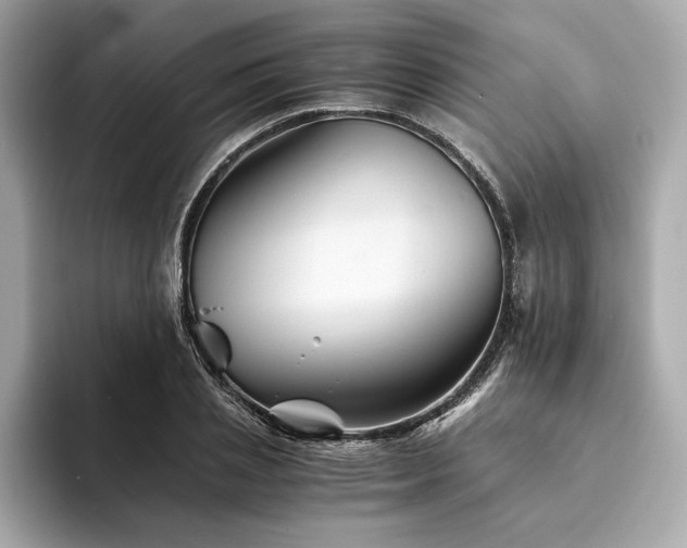 X0000094200837200710261150