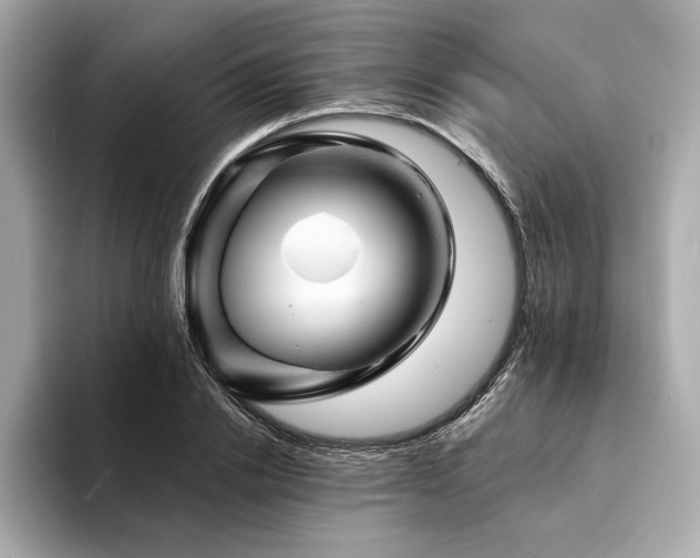 X0000094200838200710261150