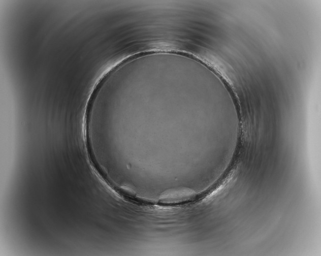 X0000094200839200710261150