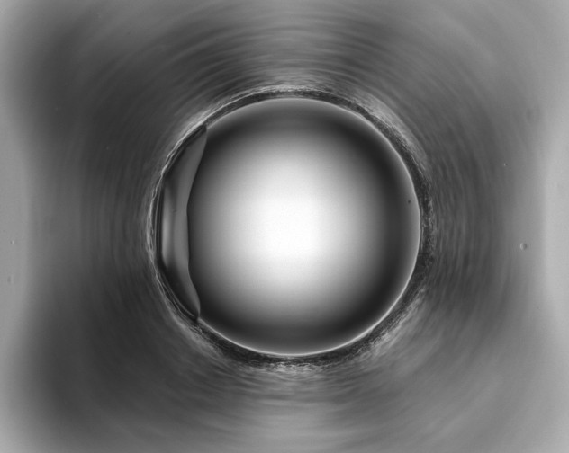 X0000094200842200710261150