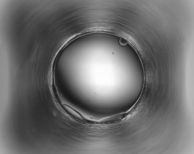 X0000094200844200710261150