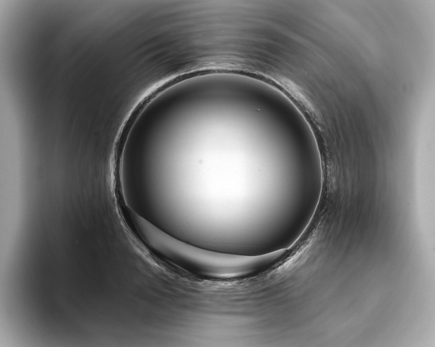 X0000094200846200710261150