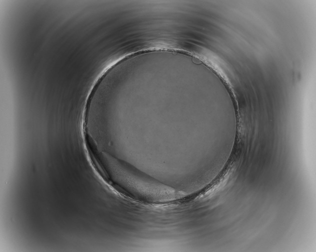 X0000094200847200710261150
