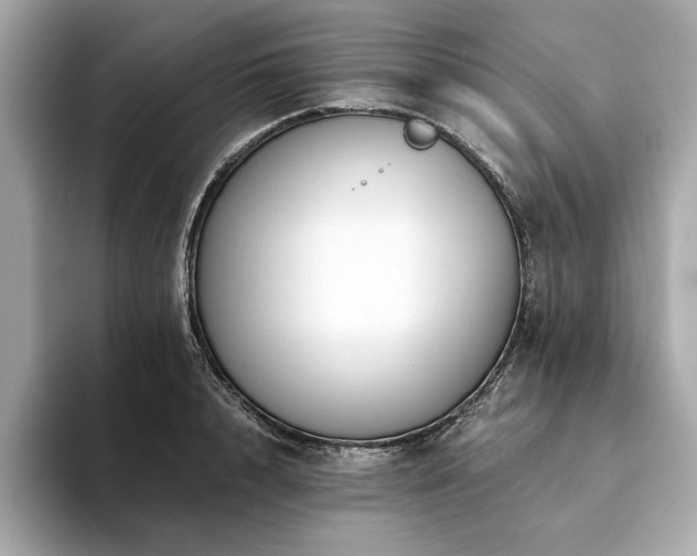 X0000094200848200710261150
