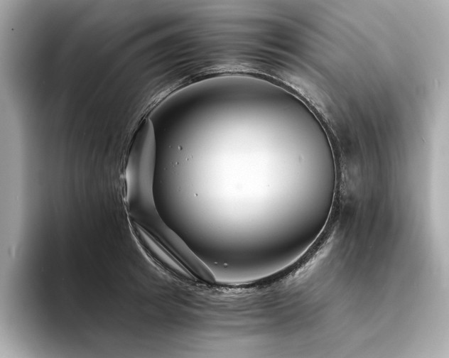 X0000094200849200710261150