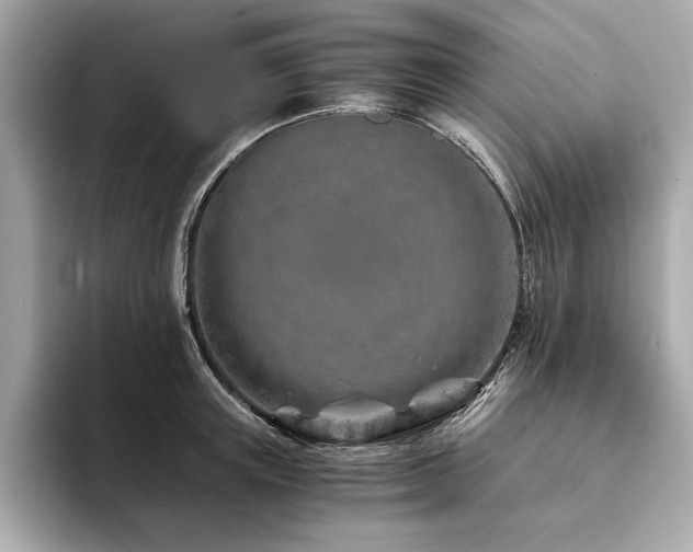 X0000094200851200710261150
