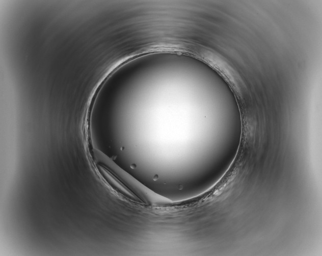 X0000094200852200710261150