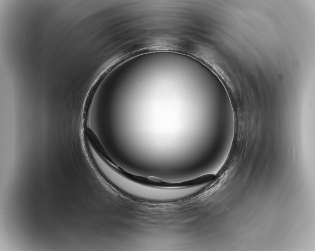 X0000094200853200710261150