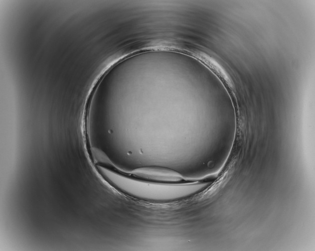 X0000094200855200710261150