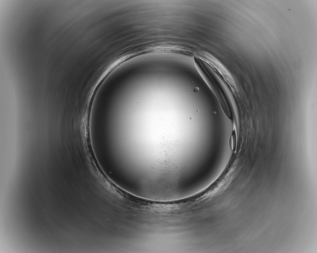 X0000094200860200710261150