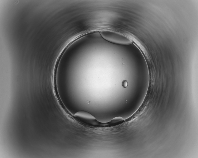 X0000094200861200710261150