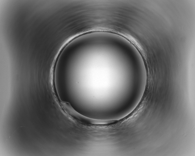 X0000094200862200710261150