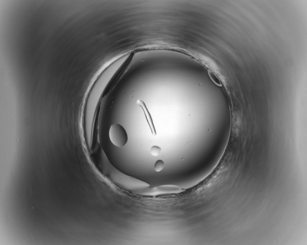 X0000094200863200710261150