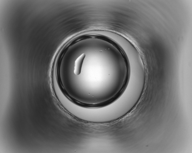 X0000094200864200710261150