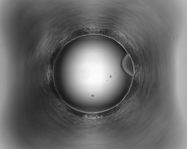 X0000094200866200710261150