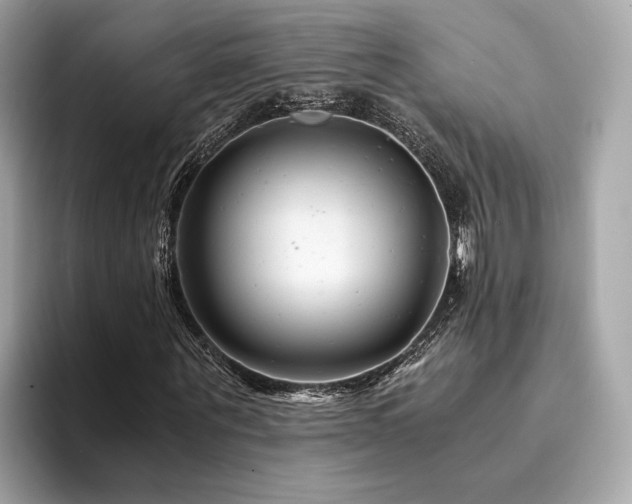 X0000094200867200710261150