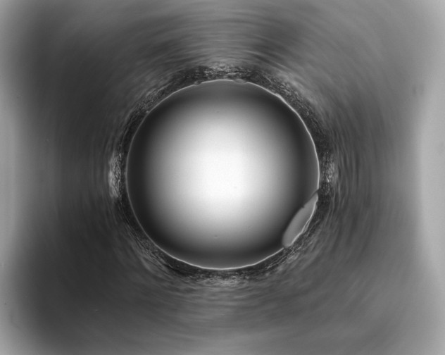 X0000094200868200710261150