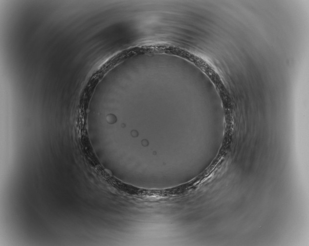 X0000094200871200710261150