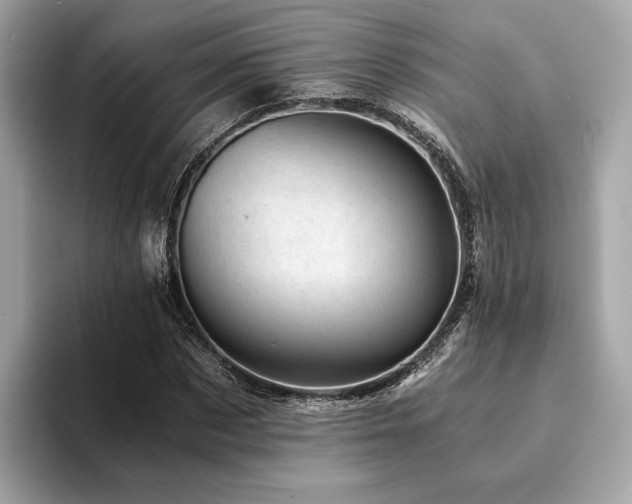 X0000094200873200710261150