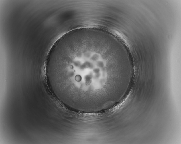 X0000094200875200710261150