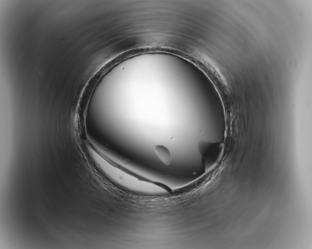 X0000094200876200710261150