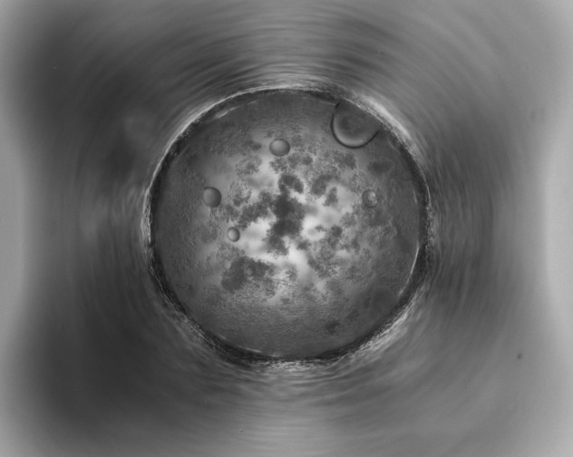 X0000094200883200710261150